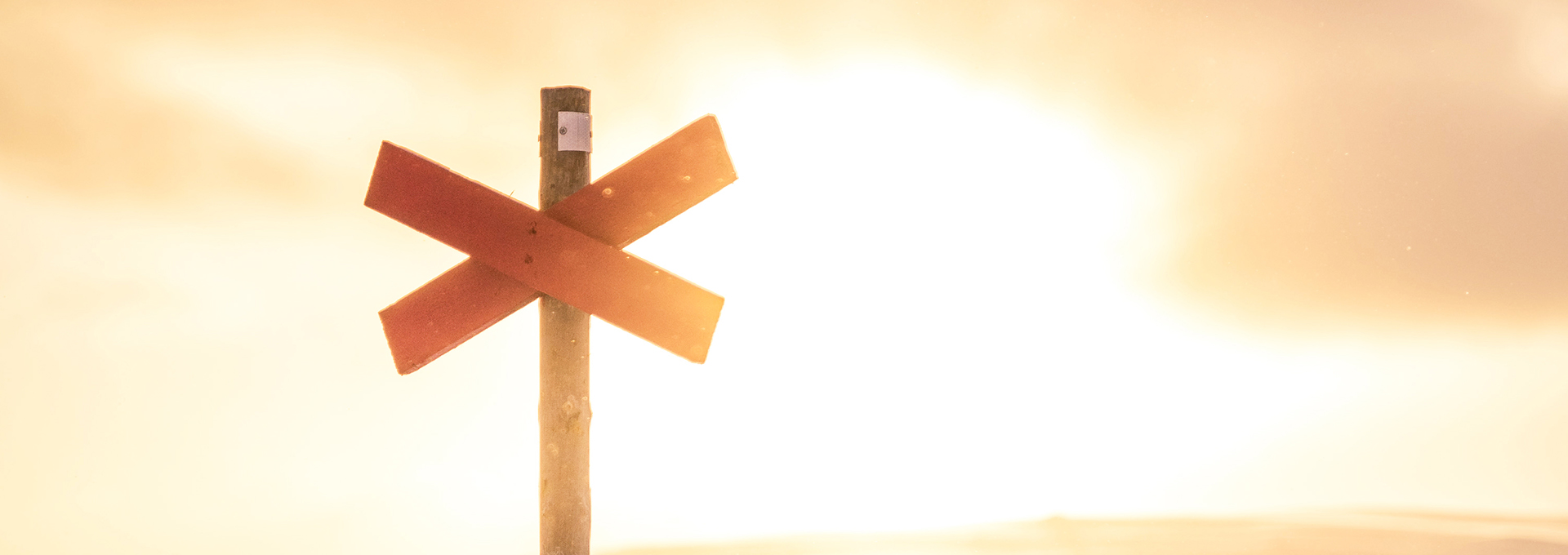 ledkryss i sol på fjället